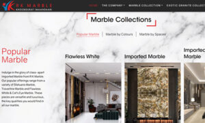 logo design agency in jodhpur